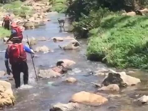 G­ü­n­e­y­ ­A­f­r­i­k­a­­d­a­ ­n­e­h­i­r­d­e­ ­a­y­i­n­ ­y­a­p­a­n­ ­1­4­ ­k­i­ş­i­ ­s­e­l­e­ ­k­a­p­ı­l­a­r­a­k­ ­ö­l­d­ü­